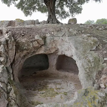 شقة Domus Mirto *