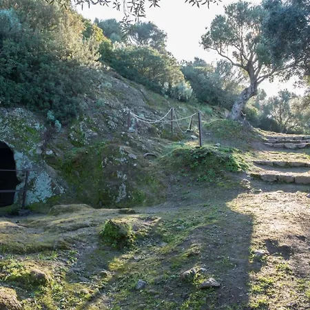 Apartamento Domus Mirto